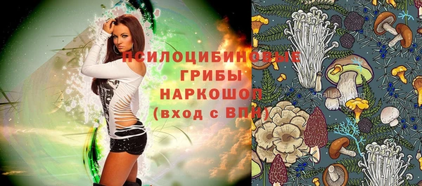 амф Алзамай